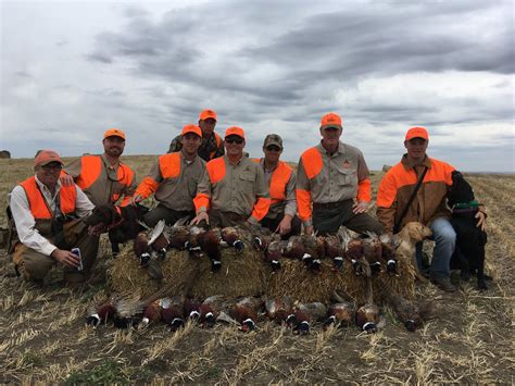 South Dakota: 3 Day 3 Night Pheasant Hunt for 4 Hunters