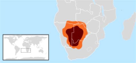 Location and Climate - The Kalahari Desert