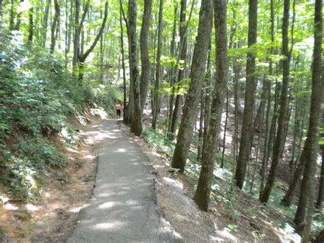 Laurel Falls Family Hike in Great Smoky Mountains National Park