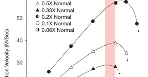 Multiple Sclerosis Research: More on heat sensitivity or Uhthoff's phenomenon