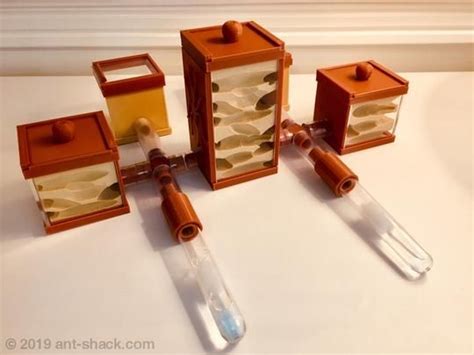 ANT SHACK - Formicarium and Ant Farm Shop | Complete Ant Farm Kits ...