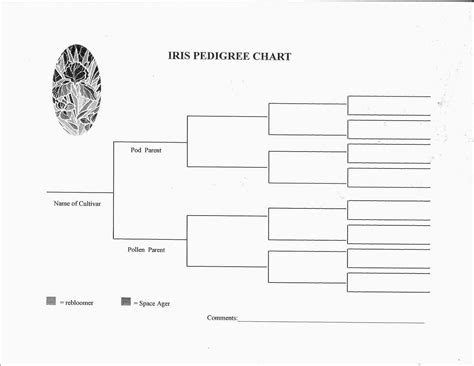 Free printable blank dog pedigree chart - jesinvest