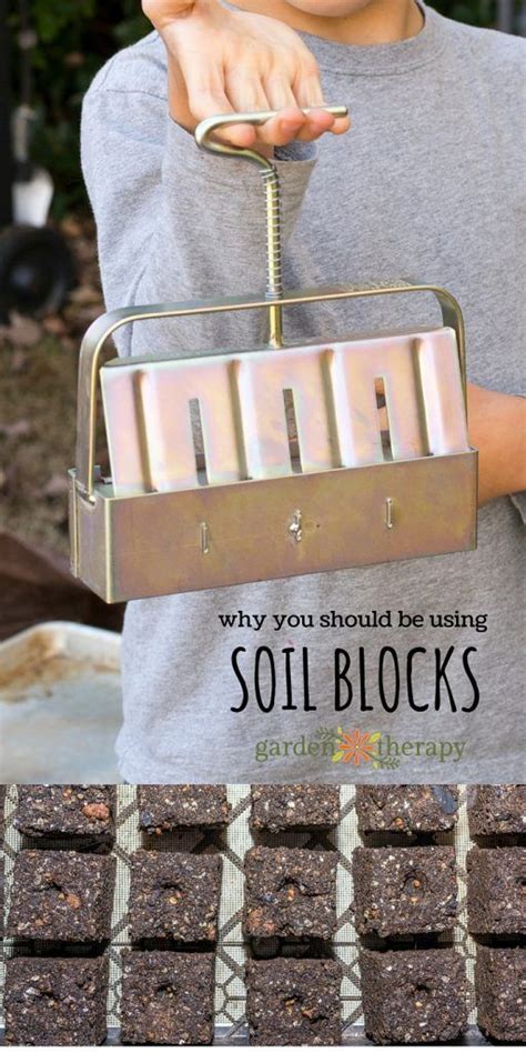 These Easy & Economical Soil Blocks Will Change How You Garden - Garden ...