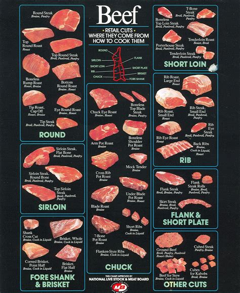 Printable Beef Cuts Of Meat Butcher Chart