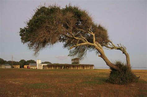 Powderhorn Ranch - Houston Chronicle