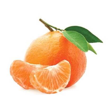 S and J Mandarin Grove – Organic Mandarin Oranges in Newcastle, CA – California Mandarin Oranges ...