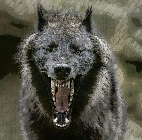 Dire Wolf -Canis Dirus-