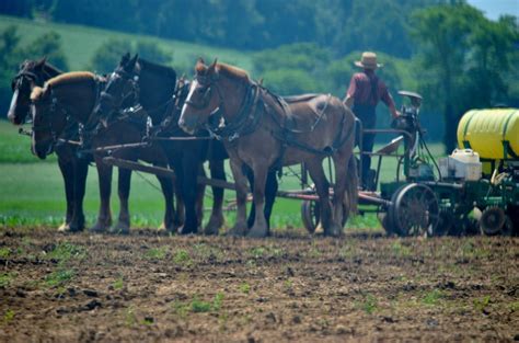 DSC_0144.JPG (1600×1059) | Horses, Animals, Farm