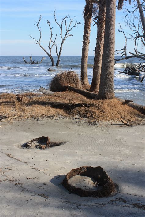 Hunting Beach, S.C. | Beach, South carolina, Hunting