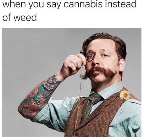 Weed Before And After Meme