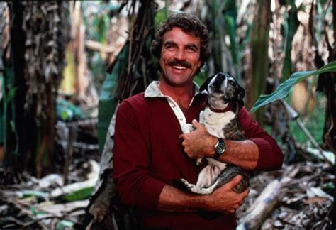 Magnum, P.I. Reboot Planned at ABC - TV Guide