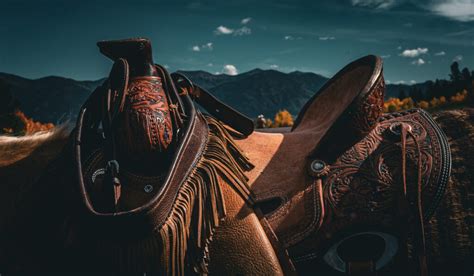 7 Popular Synthetic Western Saddle Brands - Helpful Horse Hints