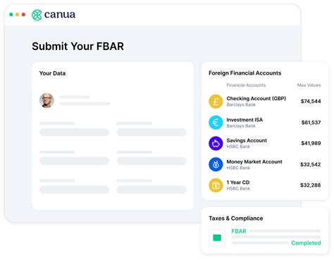 File your FBAR in 5 minutes