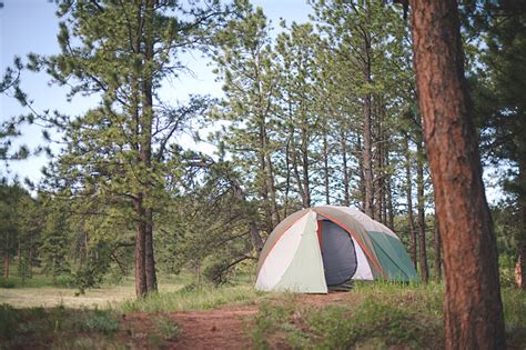 Painted Rocks Campground Review » Needles and a Pen