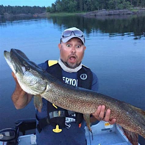 Muskie vs Northern Pike: Know the Differences - Bear's Den Lodge - Fishing French River