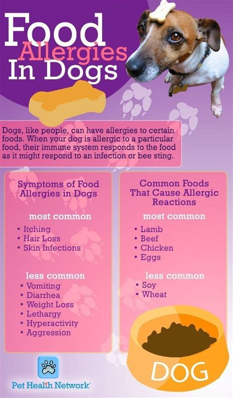 Food allergies in dogs. Take a moment to read this chart and see if your dog may have any ...