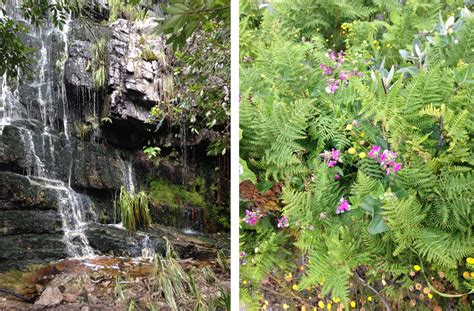 South Peninsula Walks: Silvermine Waterfall - South Peninsula Moms