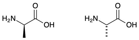 19.13 Amino Acids - Chemistry LibreTexts