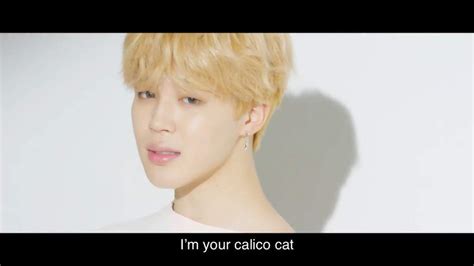 Calico Cat Symbolism And Save Me Mini Theory | ARMY's Amino