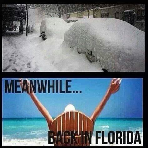 The 10 Best Florida Winter Memes - I Love South Florida