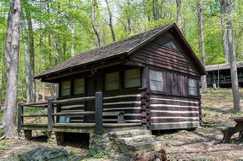 Site Cabin 36, Camp Misty Mount - Recreation.gov