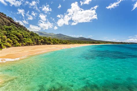 best snorkeling in maui 2021 - Odessa Quiroz