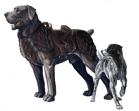 d&d mastiff - Google Search in 2020 | War dogs, Dog armor, Fantasy beasts