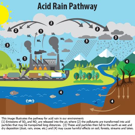 Acid Rain | Adirondack Council