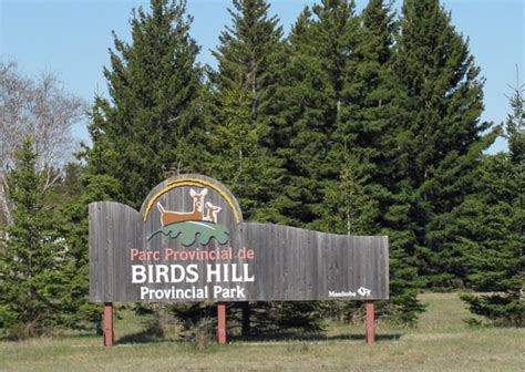 Expect driving delays in Birds Hill Provincial Park during Canada Summer Games