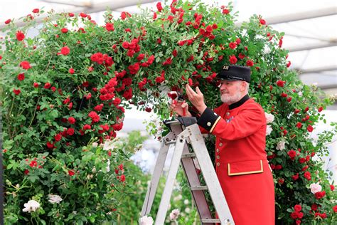 Chelsea Flower Show 2024 Balcony Gardens - Lara Sharai