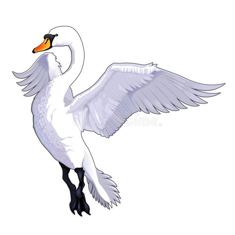 Swan flying stock illustration. Illustration of neck, flying - 3327619