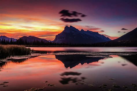 Mount Rundle Glorious Sunrise Photograph by Pierre Leclerc Photography - Fine Art America