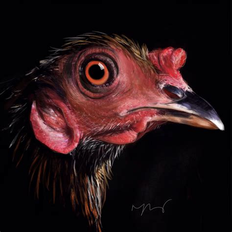 Cockerel | Art exhibition, Local art, Cockerel