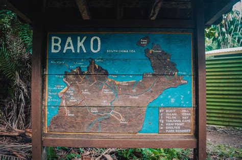 Bako National Park: A Complete Travel Guide