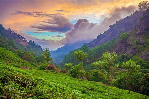 Explore Munnar holidays and discover the best time and places to visit. | The rolling hills ...