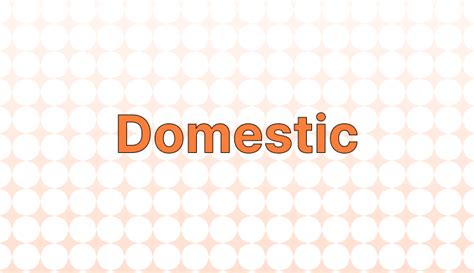 Domestic 뜻과 예시