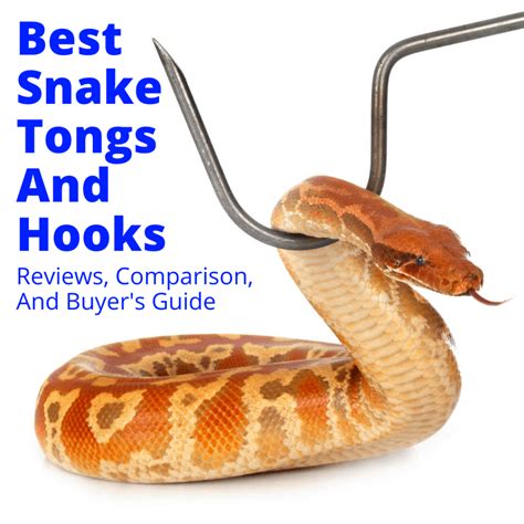 Best Snake Tongs & Hooks (Reviews, Comparison, Buyer's Guide)