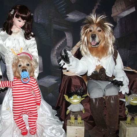 Labyrinth Movie Costumes | My Frugal Halloween