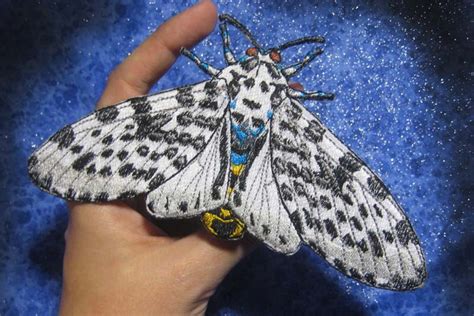 10 of The World Most Beautiful Moths - Depth World