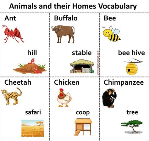 A – Z Animals and Their Homes Name Vocabulary | Animals and their homes, Drawing for kids, Sight ...