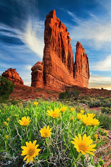 25 Remarkable Photos Of Nationwide Parks Utah | Decor Woo