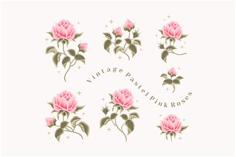 Vintage Aesthetic Pink Rose Flower Set Graphic by artflorara · Creative ...