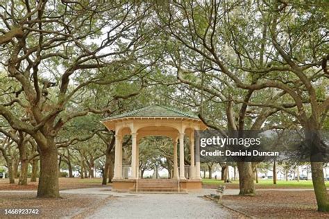 66 Charleston Battery Park Stock Photos, High-Res Pictures, and Images ...