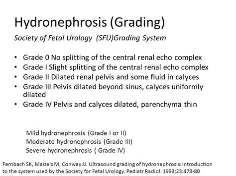 Hydronephrosis Grading Ultrasound