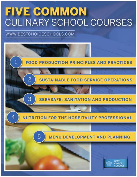 5 Common Courses in Culinary School - Best Choice Schools