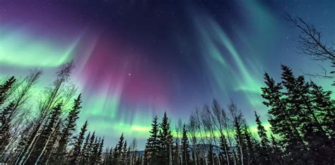 Alaska Adventure Vacation Packages | Classic Journeys