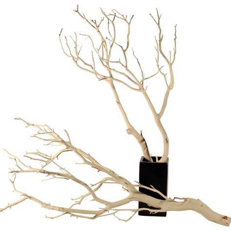 Manzanita Branches, Sandblasted, 10" up to 96"