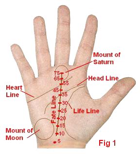 Palmistry Lines Reading In Hindi Is So Famous, But Why? | palmistry lines reading in hindi | # ...