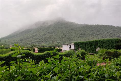 Parvat valley resort Best Rates on Pushkar Hotel Deals, Reviews & Photos