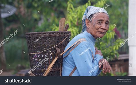 451 imágenes de Pelengas - Imágenes, fotos y vectores de stock ...